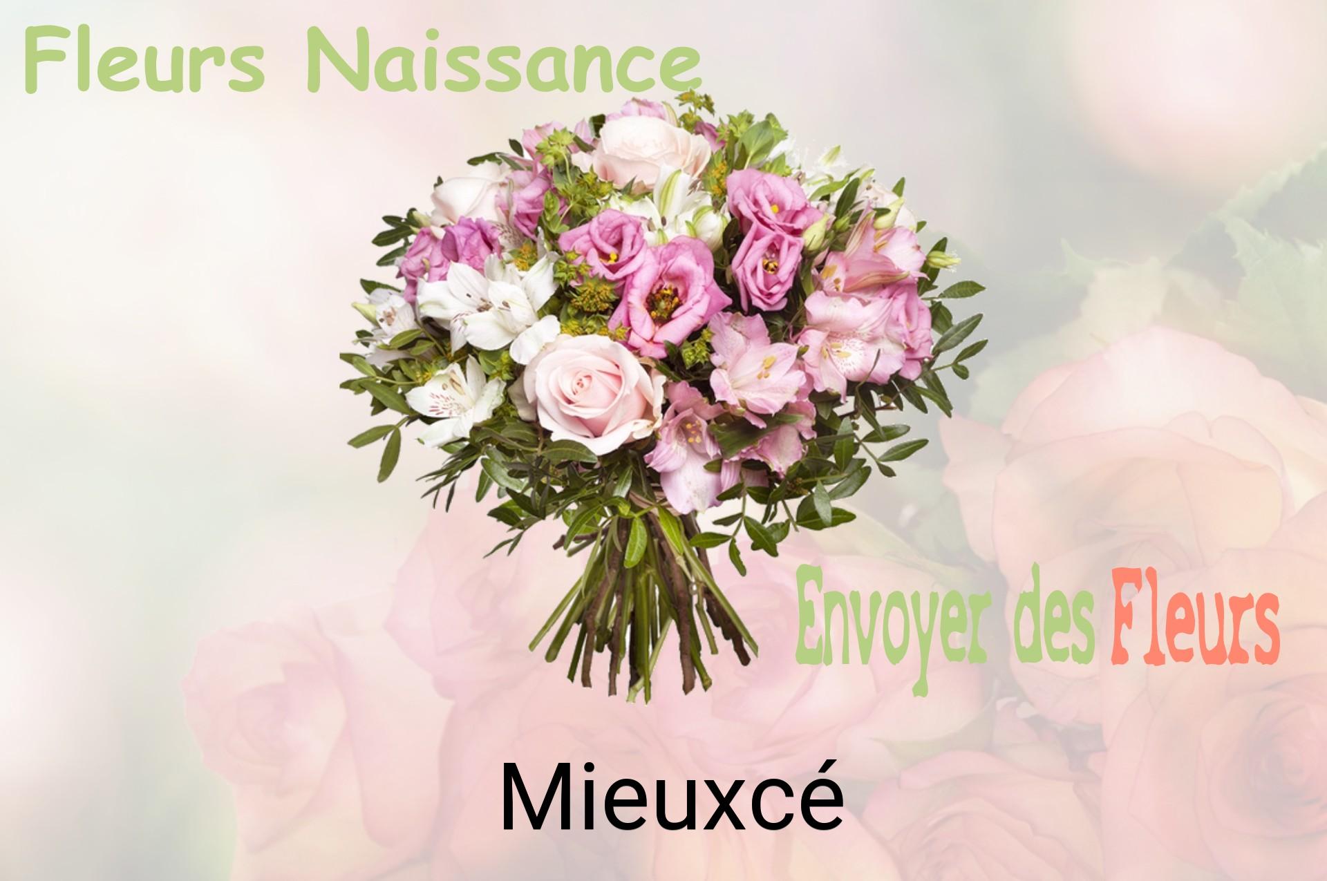 Bouquet de fleurs de naissance livré à Mieuxcé